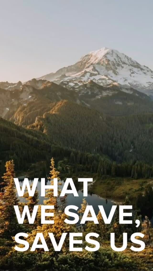 🌎 Happy Earth Day!🌱 
“Feed your soul with your soles in the soil.”
On Earth Day, take a few quiet moments to stand barefoot outside. Feel the earth beneath you. Breathe deeply. The Earth emits a natural frequency known as the Schumann Resonance, which vibrates at around 7.83 Hz. This frequency is often referred to as the Earth’s “heartbeat.” Let your heartbeat find rhythm with the Earth’s. Give thanks. Set an intention. Offer gratitude. That simple act can align your mind, body, and soul with nature.

#two22diycreativestudio  #sacredroots #naturalhealing #earthday2025